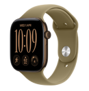 Apple Watch Series 12  
                          